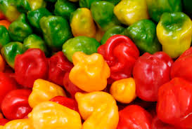 Chile Panameño Original