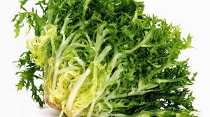 Lechuga Escarola